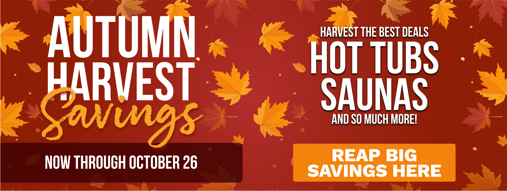 Sale Banner